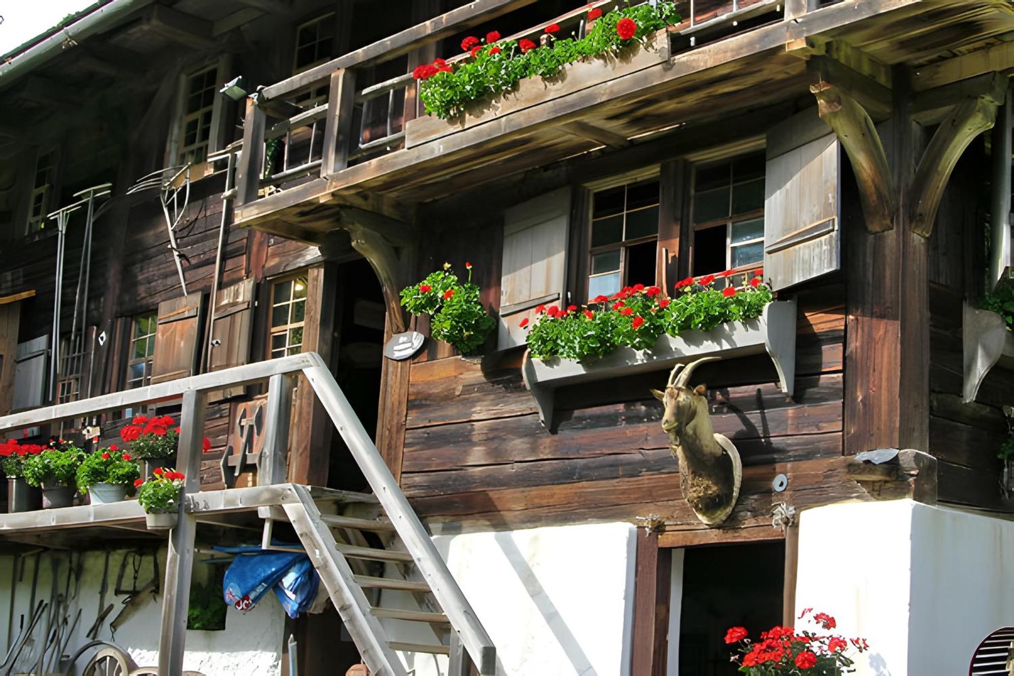 Ferienhaus Voelkle Hinterzarten Εξωτερικό φωτογραφία